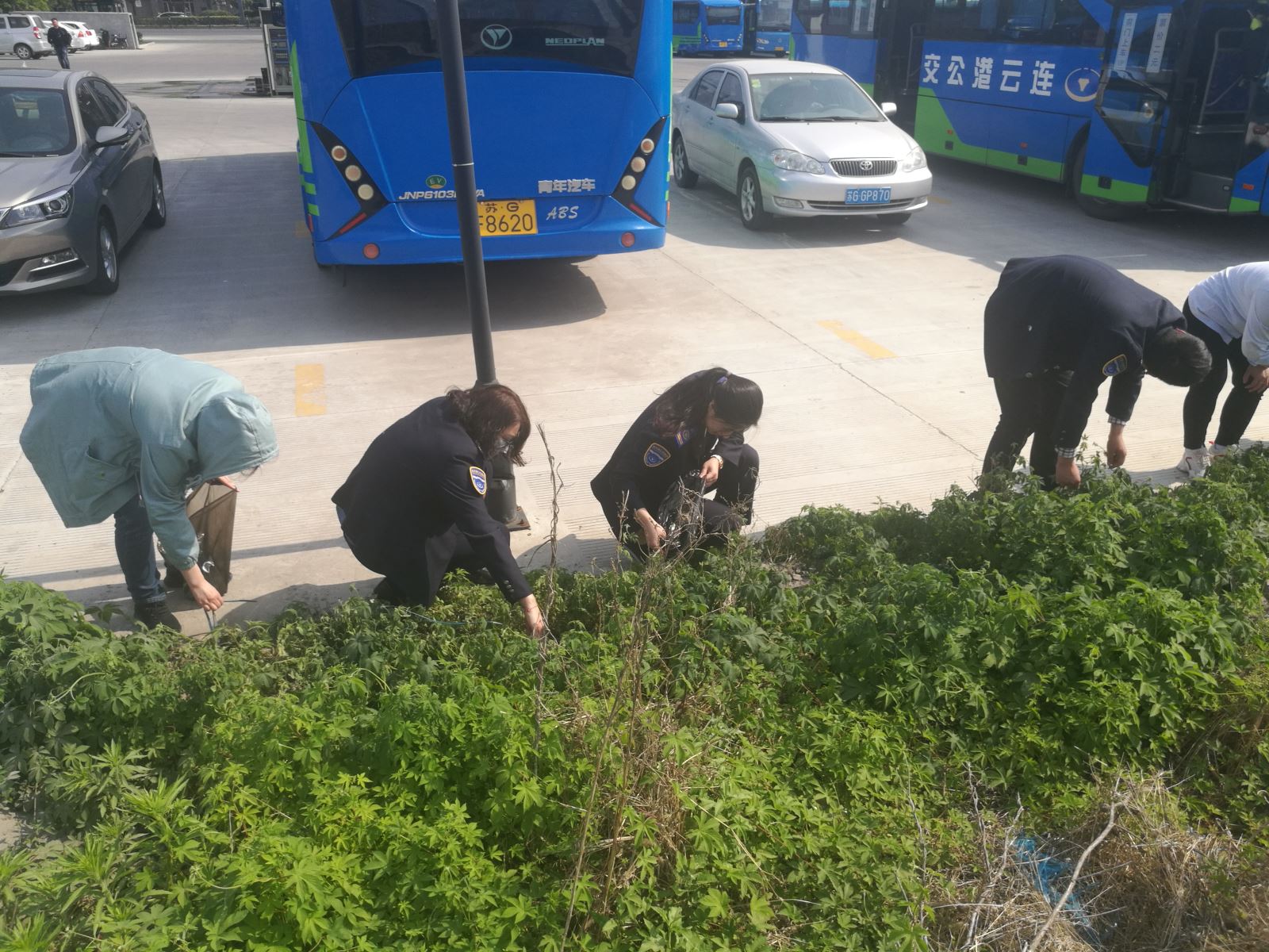 公交集團(tuán)經(jīng)營(yíng)發(fā)展事業(yè)部開展清理垃圾志愿活動(dòng)